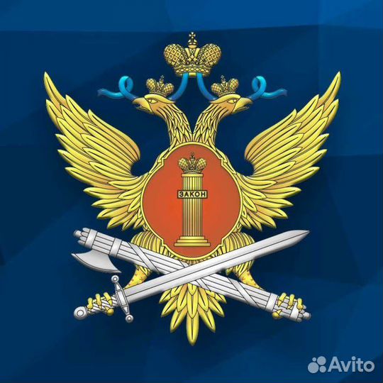 Младший инспектор отдела безопасности