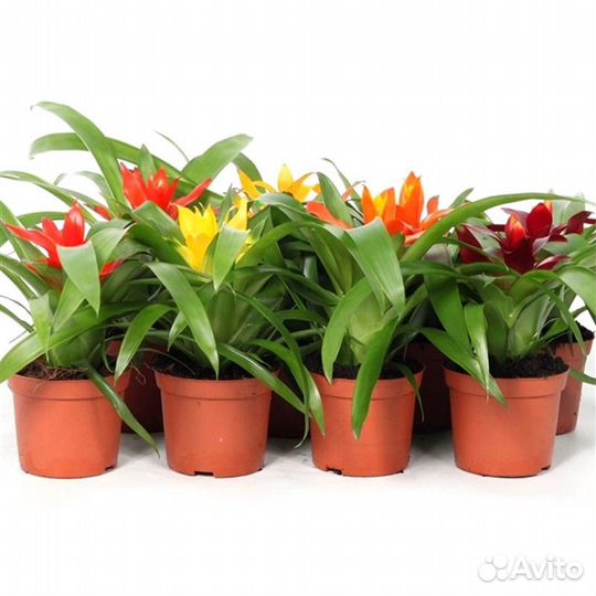 Разнорабочий в магазин / выплаты еженедельные