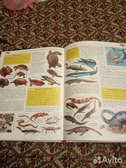 Энциклопедия для детей