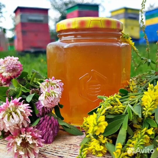 Мед Липовый
