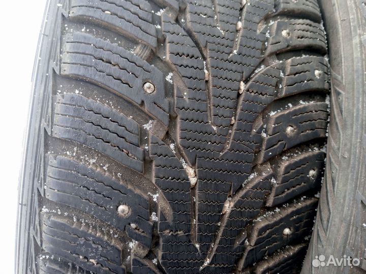 Nexen Winguard 205/55 R16