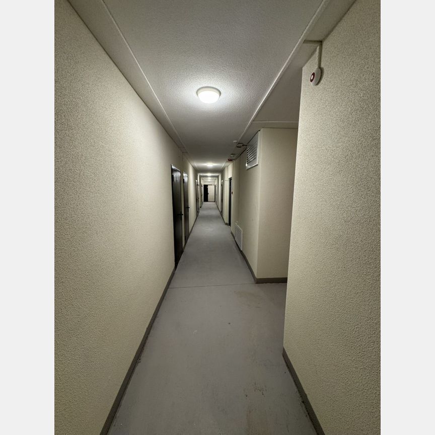Квартира-студия, 20 м², 11/20 эт.