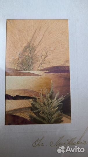 Картина из сухих растений