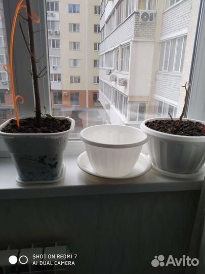 Горшки под цветы большие с поддонами 3 шт за все