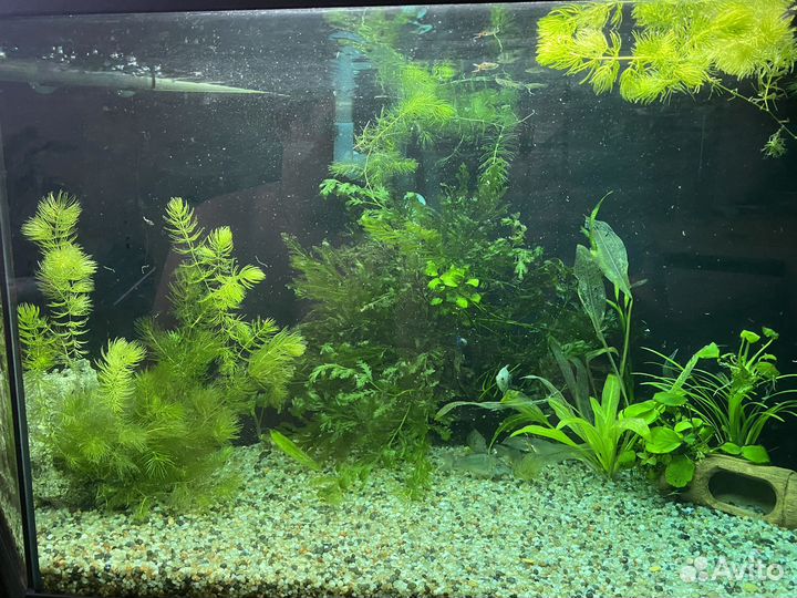Аквариум угловой на тумбе