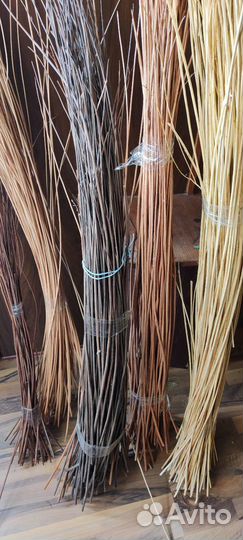 Прут сухой Ива для ландшафтных работ