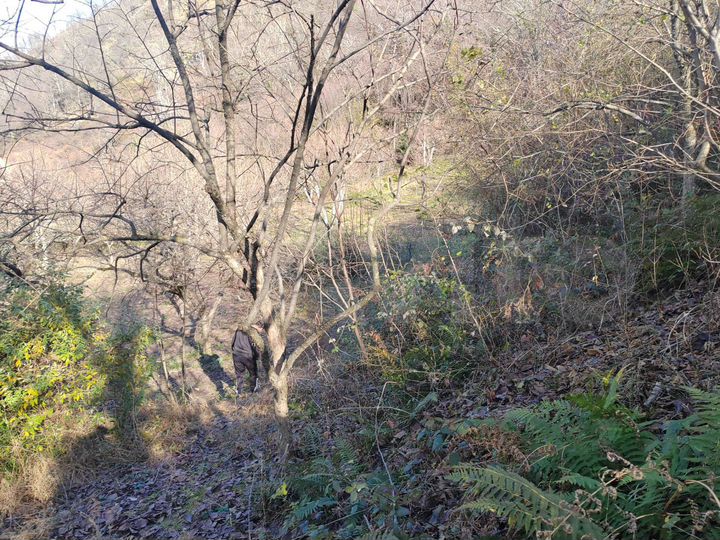 Участок 12 сот. (СНТ, ДНП)