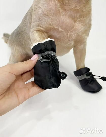 Обувь для собак