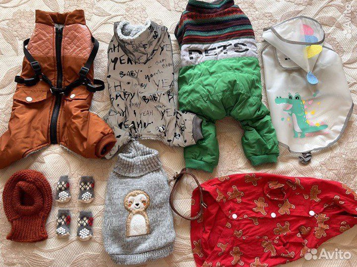 Комплект одежды для собаки/можно раздельно