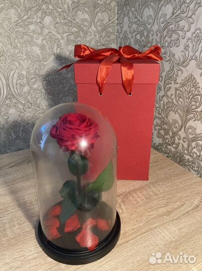 Роза в колбе