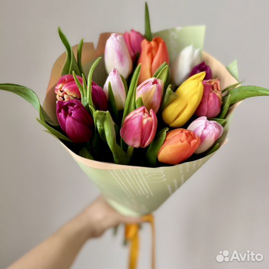 Тюльпаны 15 шт