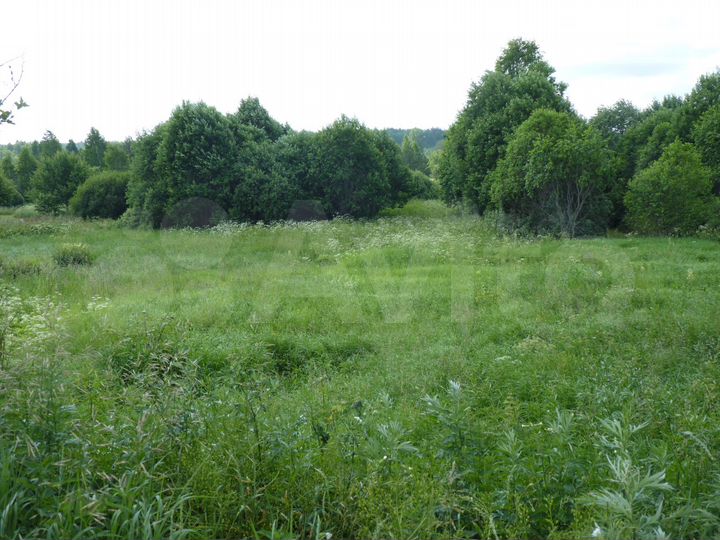 Участок 21 сот. (ИЖС)