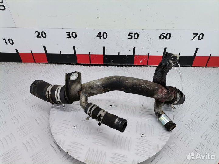 Патрубок охлаждения для Ford Focus 1 1461332