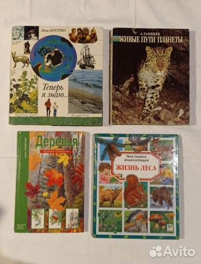 Познавательные книги для детей
