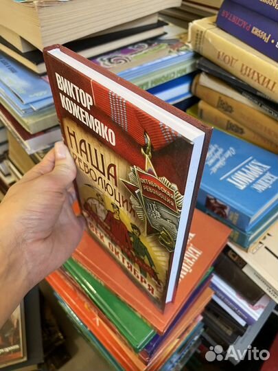 Виктор Кожемяко. Наша революция