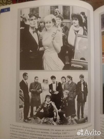 Книга «Стингрей в стране чудес»