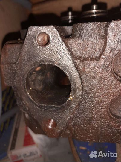 Гбц 6иесбе тектор