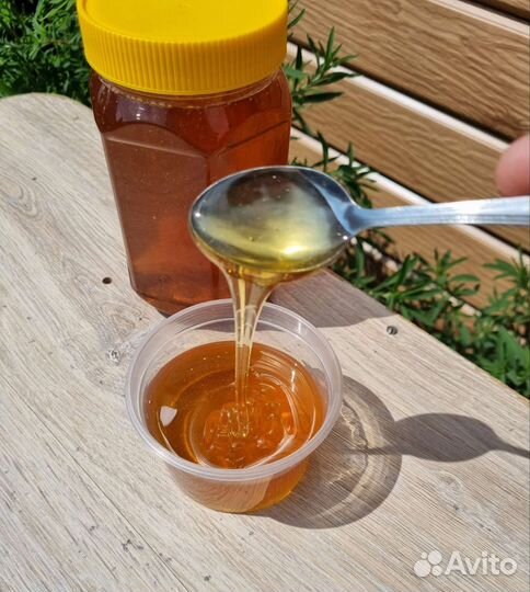 Мёд цветочный Алтайский. Свежий 2023г. С пасеки