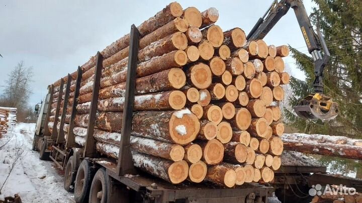 Лес кругляк / Дрова