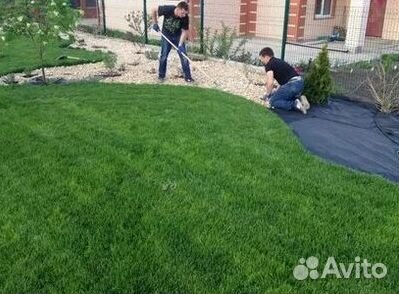 Укладка Рулонного газона