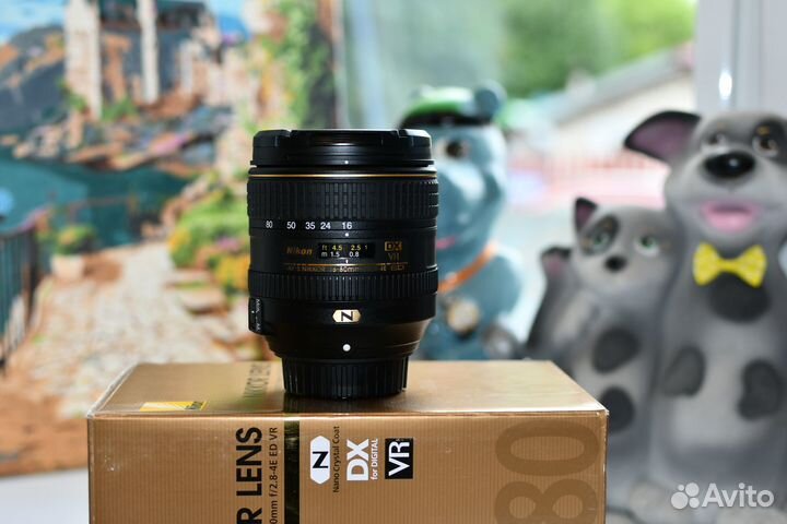 AF-S DX nikkor 16-80mm f/2.8-4E ED VR
