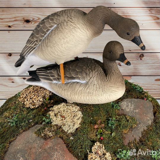 Чучела гусей гуменника Премиум oscar decoys