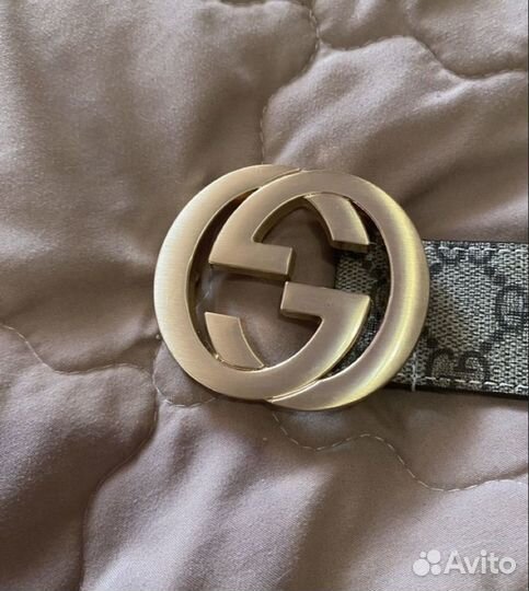 Ремень gucci gg supreme