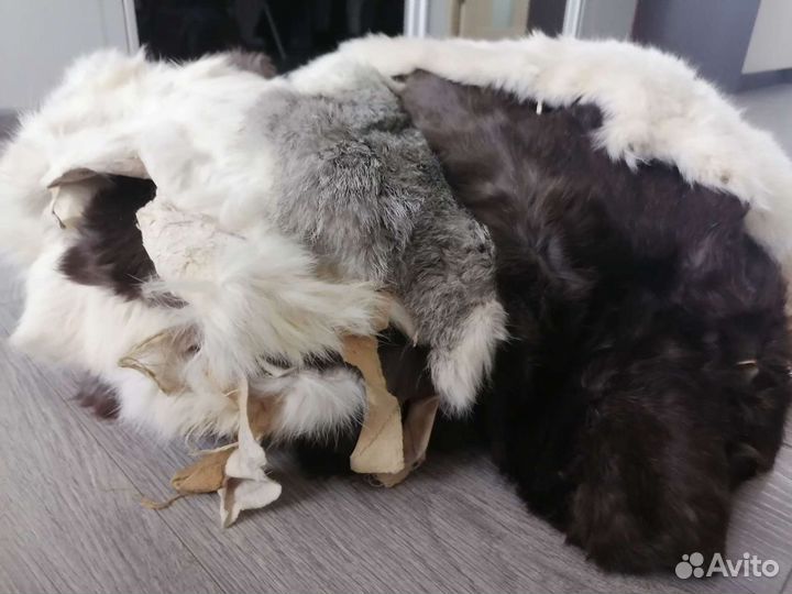 Шкура кролика