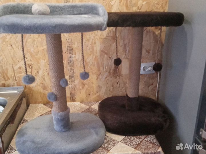 Когтеточка