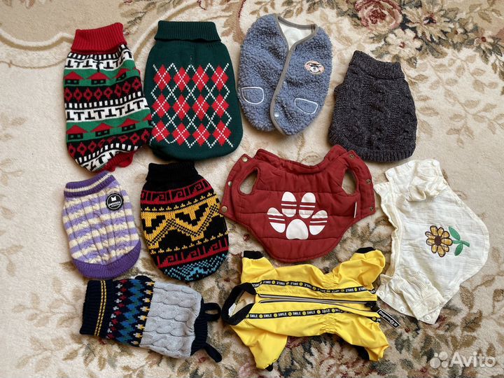 Гардероб щенка - одежда для собак кошек