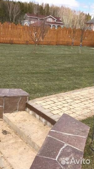 Рулонный газон от производителя