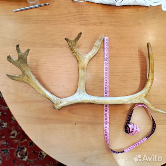 Рога оленя, Рог натуральный, Тарелка декор. Мальта