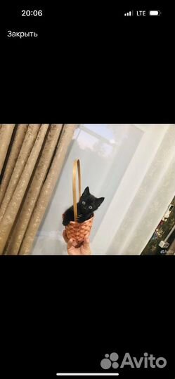 Котик в добрые руки