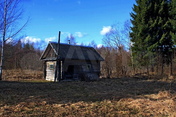 Дом 43,4 м² на участке 17 сот.