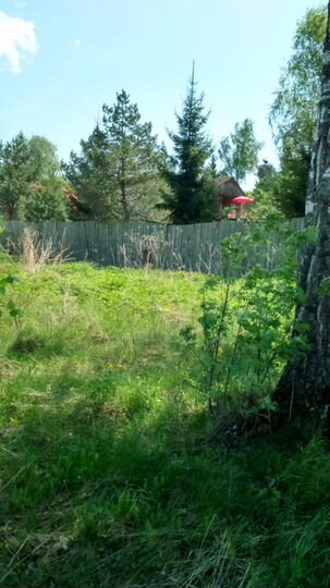 Участок 10 сот. (ИЖС)
