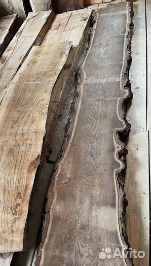 Слэб каповый карагач