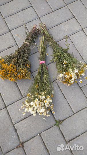 Веники для бани