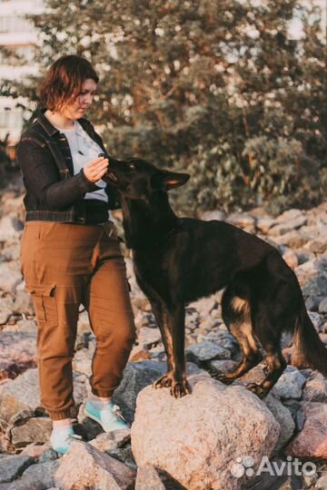 Кинолог - Дрессировщик - Зоопсихолог с выездом