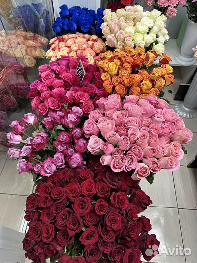 Розы цветы доставка 24 7