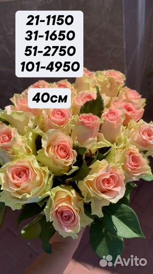 Цветы / розы / Букеты