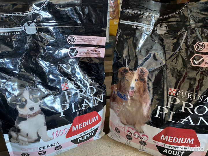 Корм для собак