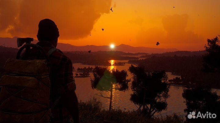 Scum ключ Steam глобальный активируется и в России