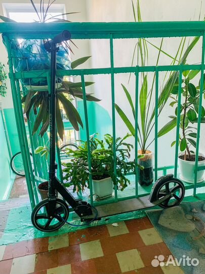 Самокат детский двухколесный