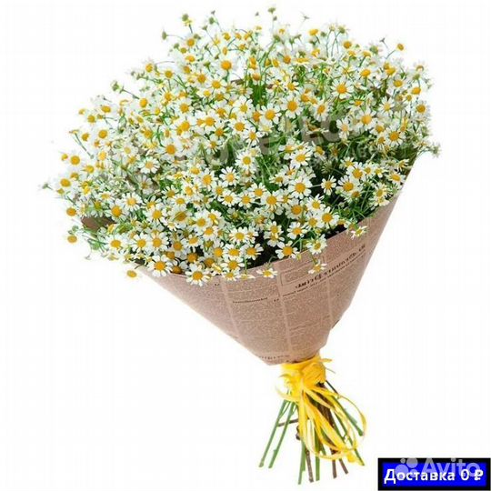 Ромашки онлайн доставка
