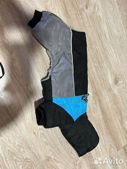 Одежда для собак