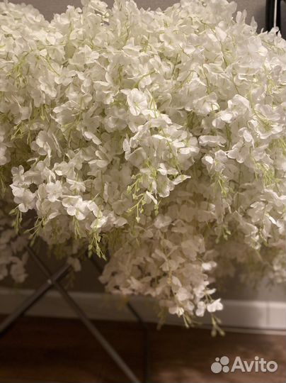 Лиана,глициния, зелень, рускус, все для свадьбы