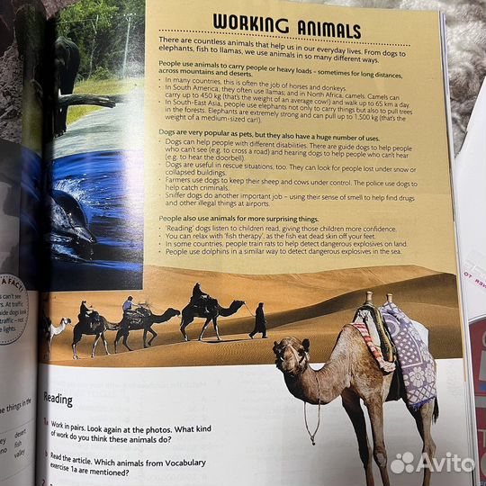 Cutting Edge Elementary third edition новые