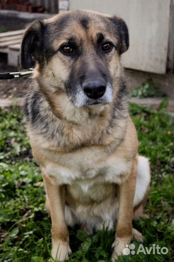 Не пролистывай меня