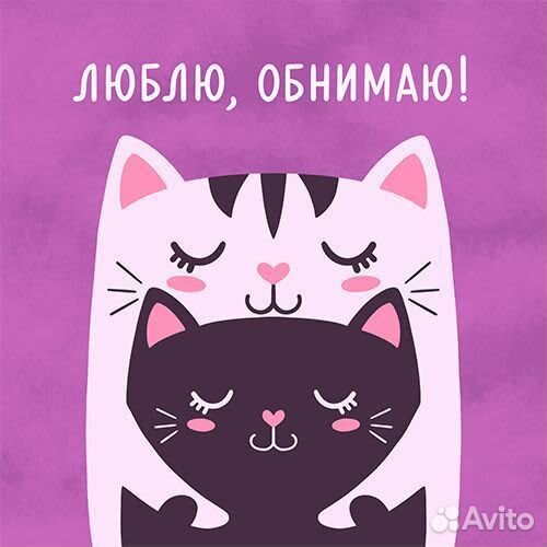 Котята в добрые руки бесплатно