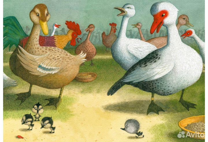 Гадкий утенок Нигма + совместная закупка без %